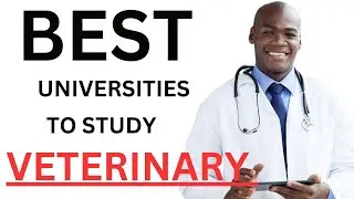 TOP 10 BEST VETERINARY UNIVERSITIES IN NIGERIA (2024)