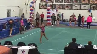Isabella Magnelli Region 7 Floor 2018
