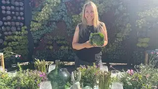 How to Create a Spring Tablescape with Emily Morgan