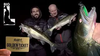 Mission Zander PB  - Das Hecht & Barsch 