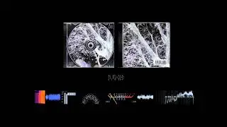 JUNGLE- THE KID CODE