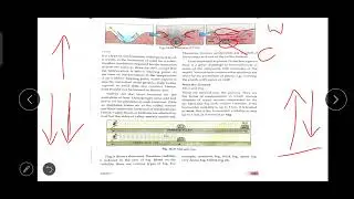 Forms of Condensation