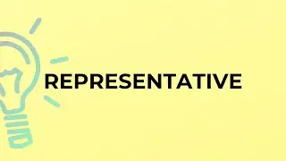 What is the meaning of the word REPRESENTATIVE?
