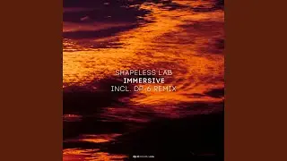 Immersive Immersion (DP-6 Remix)
