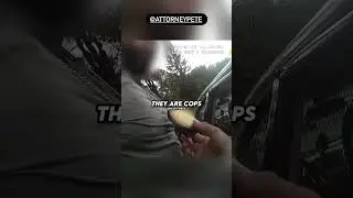 Pulled Over an FBI Agent?! 😲🚨 #shorts