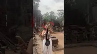 Cheeky Monkey Steals Woman's Drink 🐒😂