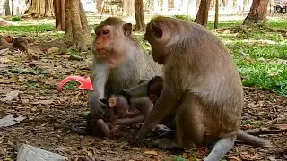 Oh No... What's Wrong Baby?
