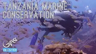 Tanzania Marine Conservation & Diving!