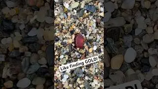 Rare treasure find at the beach! #red #seaglass #beachfinds