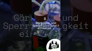 11 Tipps zum Kirschen einmaischen