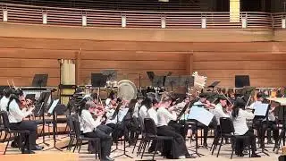 Themes from Concerto for 2 Violins in A Minor by Antonio Vivaldi, RV522, arr. Robert Frost (PVYO)