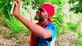 #EKZANP #1 @anbatèt.l.pproductions4684 @chifonnen509 @mamacharles-a @Mathaofficiel2323