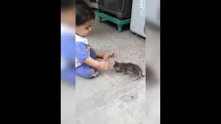 My Simba  / destruction level