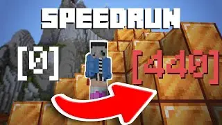 How Fast Can I Level Up? | Hypixel Skyblock