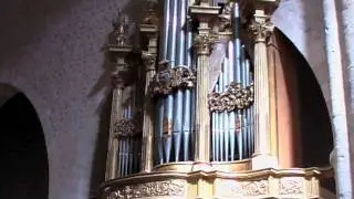L'Aquila-la Basilica di Collemaggio e il suo Organo-July 19,2007
