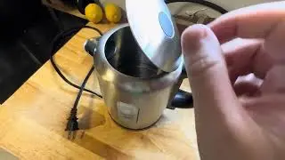 Love This! Electric Kettle | Amazon Basics