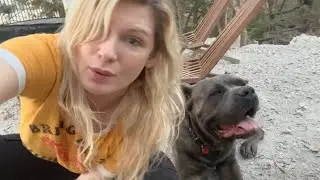 Why the CANE CORSO is NOT a Good FAMILY DOG