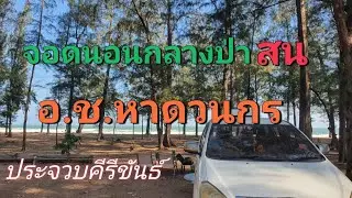 จอดนอนกลางป่าสน หาดวนกร ประจวบคีรีขันธ์