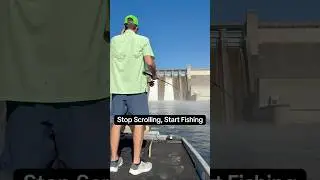 The Only App Designed Exclusively for Connecting You to Fish with Others. #fishing #viral #coangler
