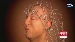 Scientists Demonstrate New &lsquo;Mind Captioning&rsquo; System That Converts Brain Activity Into Text