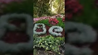 Edward's Gardens Adventure