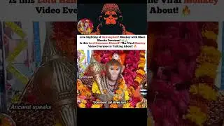 Live Sighting of Bajrangbali? Monkey with Mace Shocks Devotees. #spiritualindia #hinduwisdom