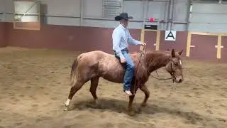 Peppy Boudreaux - Lot 25 at Real Ranch Horse Invitational Sale - April 15 2023