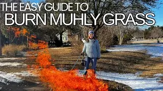 Как сжечь декоративную траву 🔥 🌾🔥