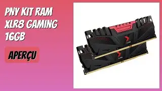 AVIS (2026) : PNY Kit RAM XLR8 Gaming 16GB. D&Eacute;TAILS