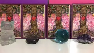 Pick a card!!! What is the future of this connection?