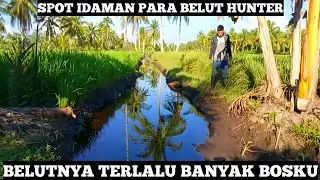 Spot Mancing Belut Sawah Terbaik 2020 Ada Disini... Belutnya Banyak Banget | Mancing Belut Besar