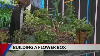 Building a flower box