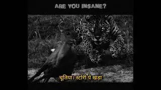 R U INSANE - UMER ANJUM DISS @MCINSANE666 