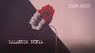 Zamin Amur - YALANDIR DÜNYA