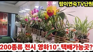 1월9일 핫한 난  문자주문010 5121 5030