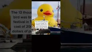 HUGE Rubber Duck made Canada very mad