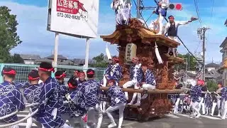 令和7年  堺市中区  陶器地区  宵宮午前  陶荒田神社 宮出後の10町だんじり連合曳き