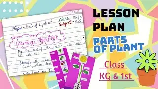 How to Teach Parts of a Plant | EVS lesson plan | KG & Class 1 | Plant activity| 