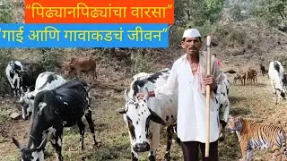 पिढ्यानपिढ्या गाई पाळणारे कुटुंब | खरा गावाकडचा वारसा ! Sahyadrichi wat