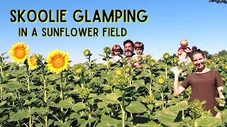 Magical Skoolie Glamping in a Sunflower Field | Destination Unknown School Bus Conversion