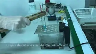 Liqueur de Fehling