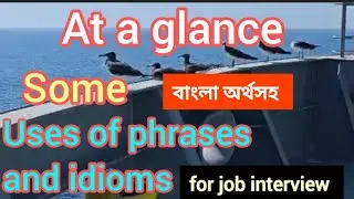 Uses of phrases and idioms for job interview 