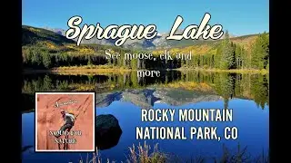 Early Morning Moose and Beauty at Sprague Lake  / Rocky Mountain National Park ~ CO