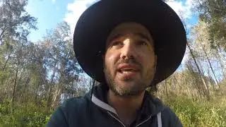 Nattai Wildnerness National Park Hiking / Russel Needles