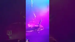 FAB JOJO 2017 MANCHESTER UK