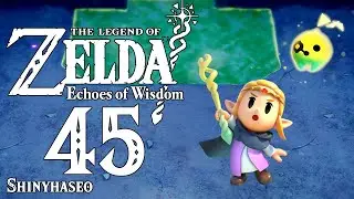 The Legend of Zelda Echoes of Wisdom Part 45 - Slime Eye don't won't be frozen