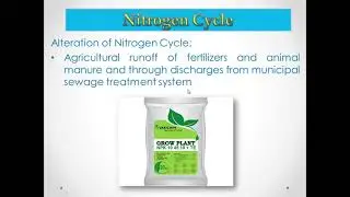 Nutrient Cycling (for GE 10)