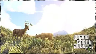 GTA 5 - Forest Ambient Music (Calm & Relax)