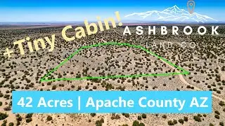 Northern Arizona Land for Sale | 42 Acre Ranch with Tiny Cabin and BLM Land Bordering 2 Sides