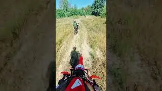 #bikelife #dirtbikeriding #motorcycle #forest #music #crf300l #motovlog #enduro #explore #honda #crf